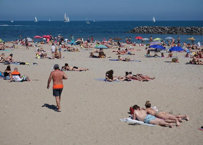 Vue A La Du Mole - Clim - Fibre Wifi 公寓 阿格德