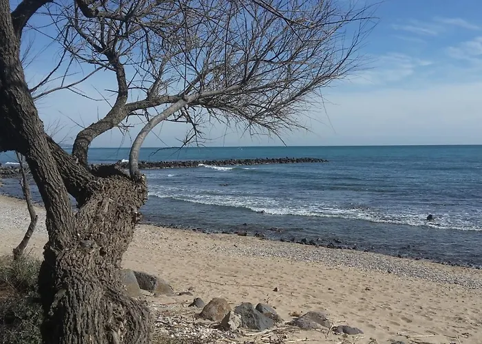 Vue A La Du Mole - Clim - Fibre Wifi 阿格德